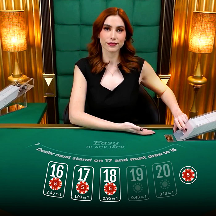 Blackjack c333